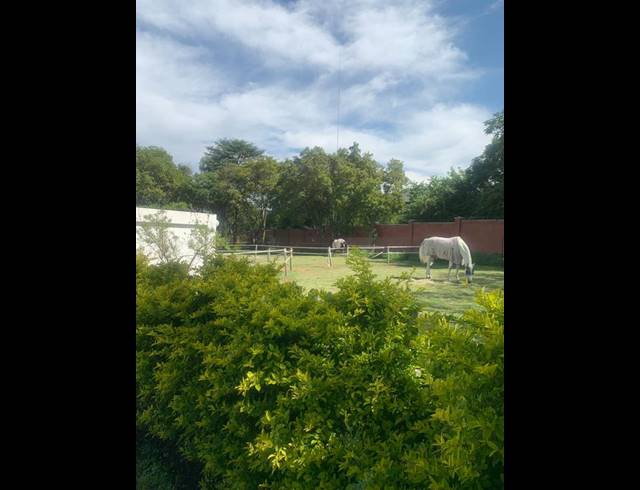 FARM FOR SALE IN GLENFERNESS